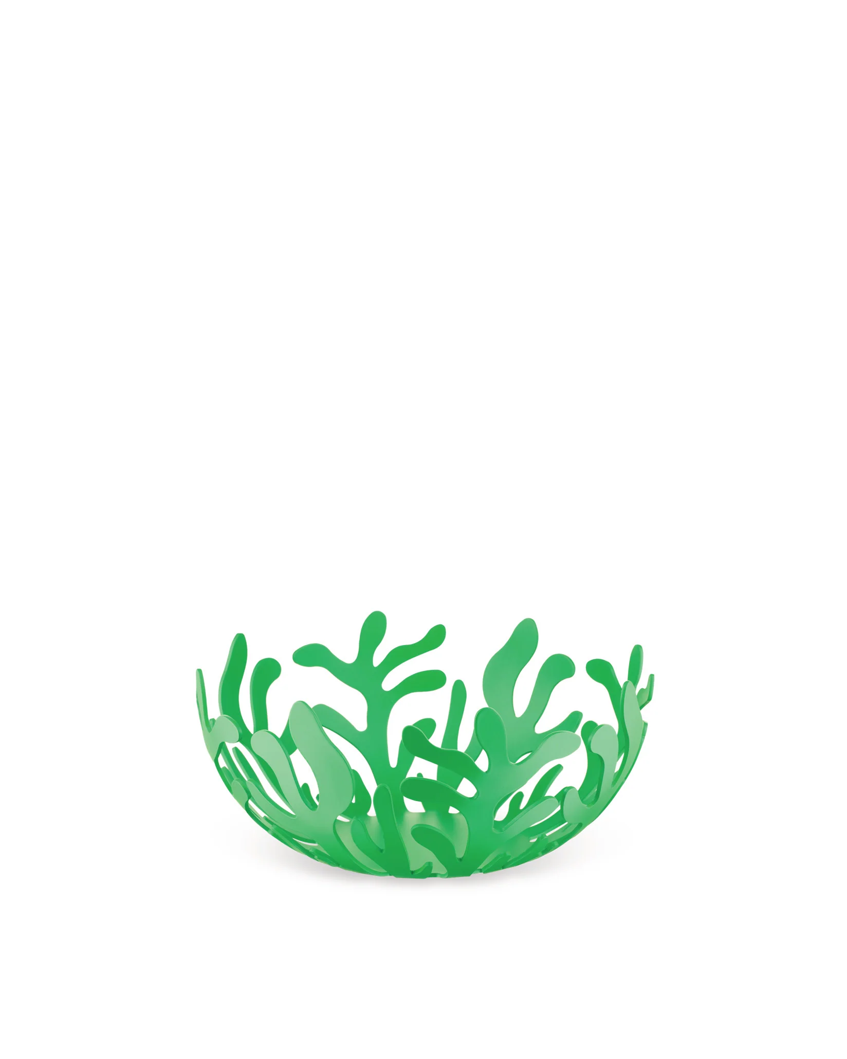 Mediterraneo