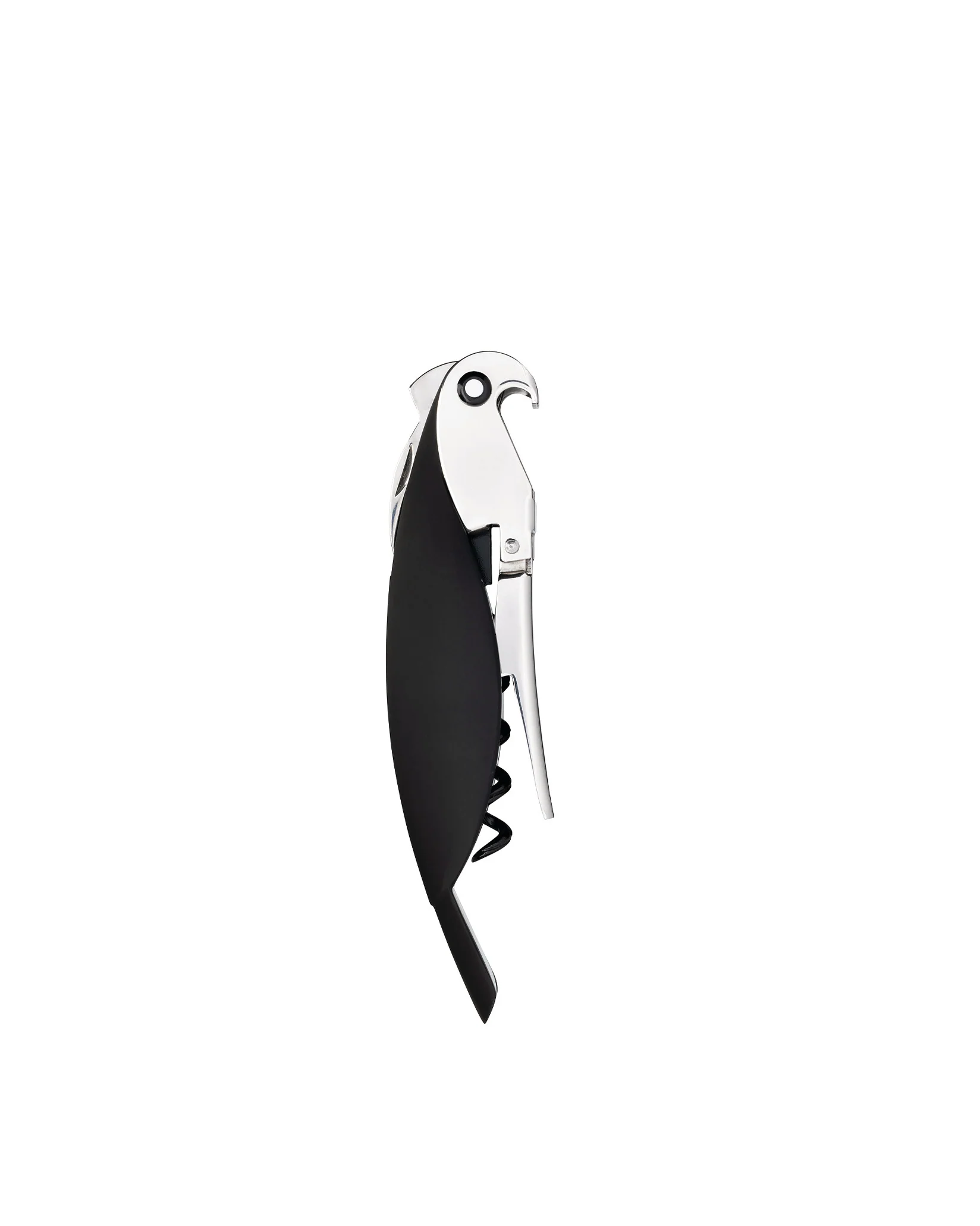 Parrot