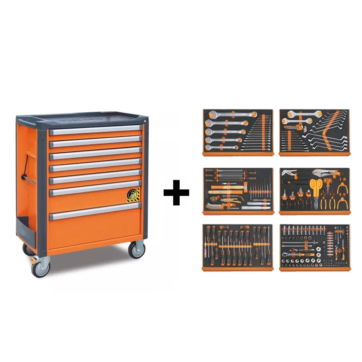 Multifunctional tool