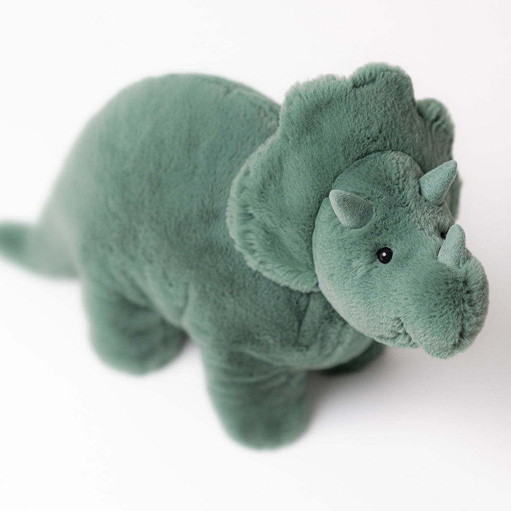 Fossilly Triceratops