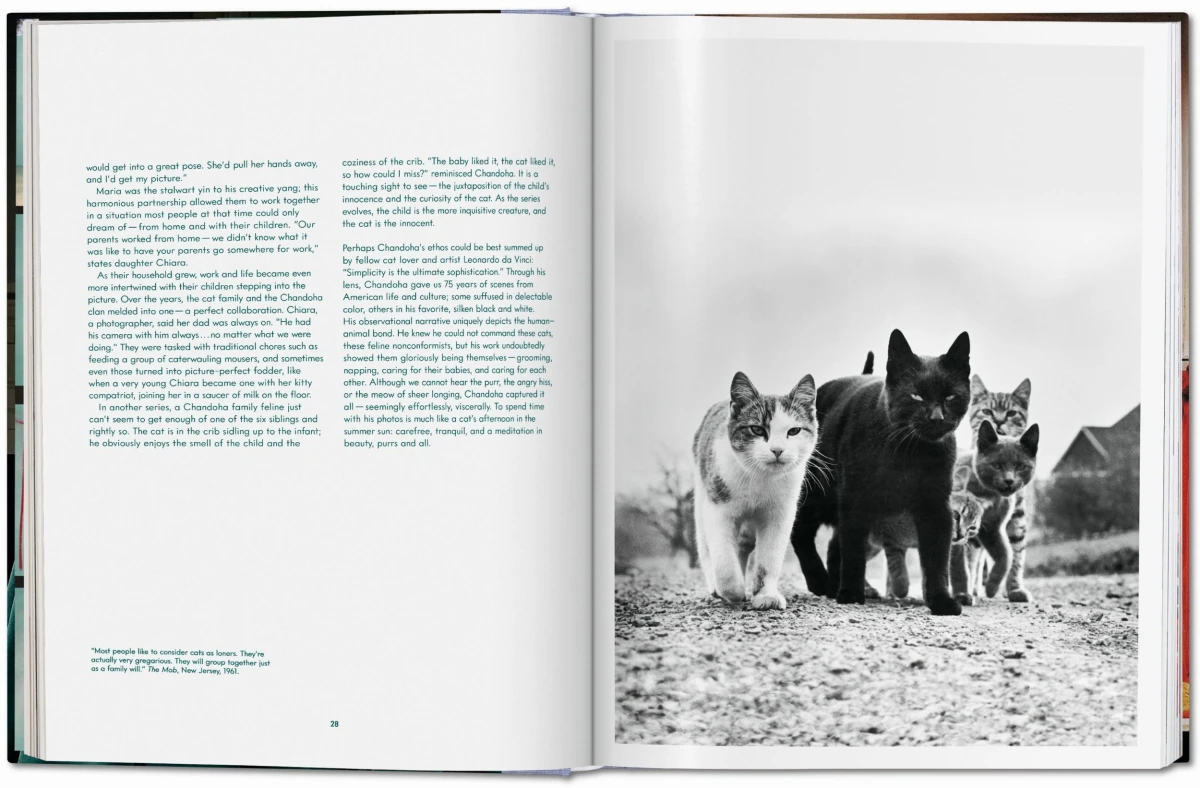 Walter Chandoha. Cats. Photographs 1942–2018