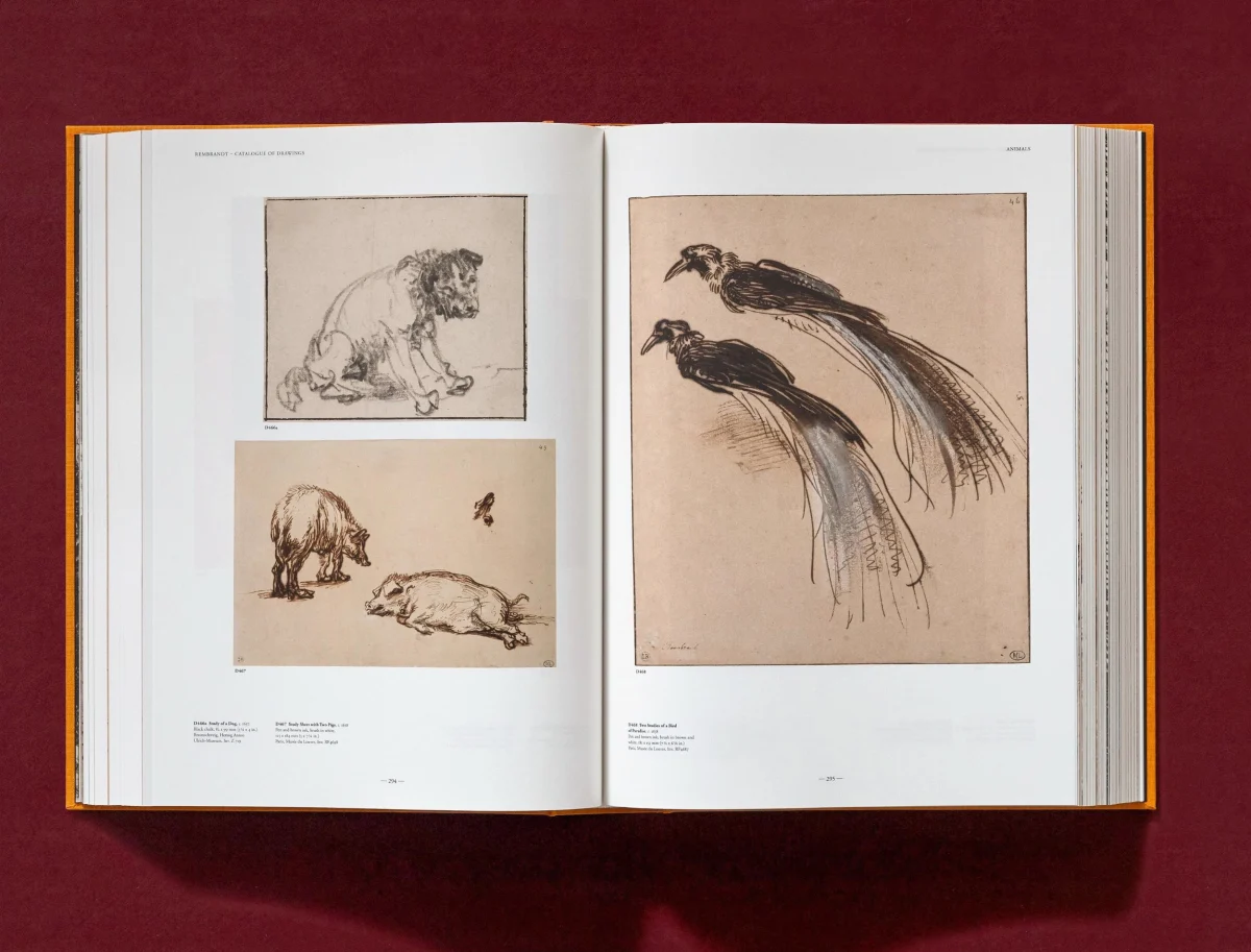 Rembrandt. Sämtliche Zeichnungen und Radierungen