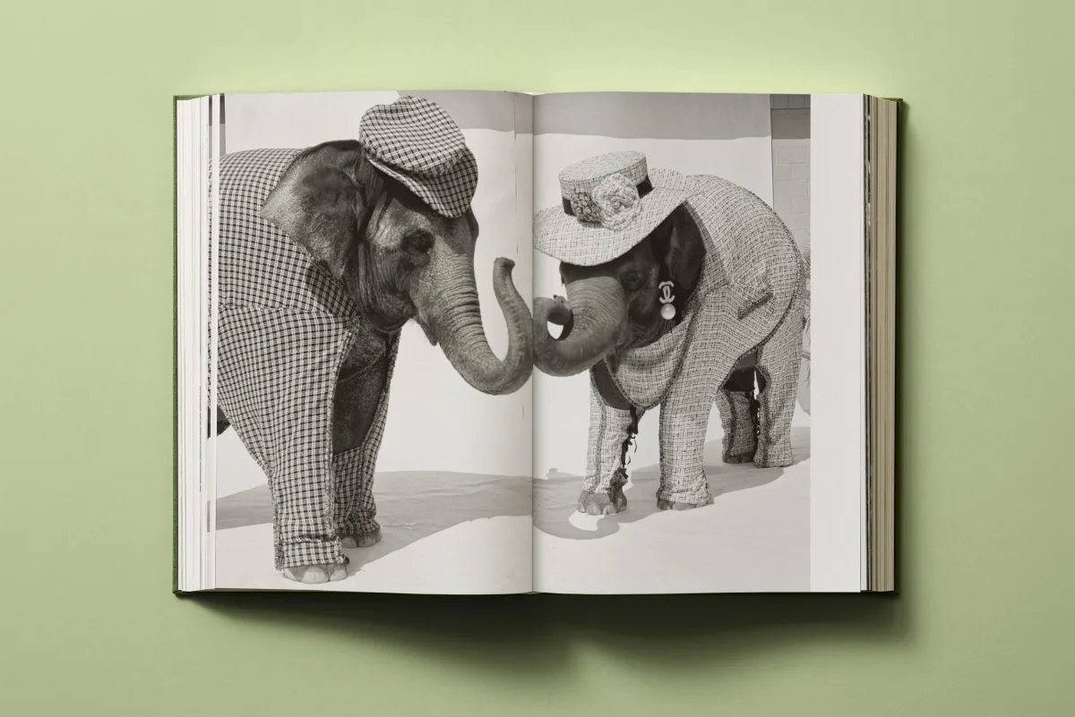 Bruce Weber. My Education