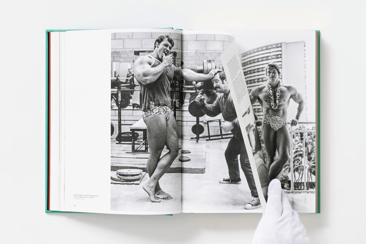 ARNOLD. Capitello Edition