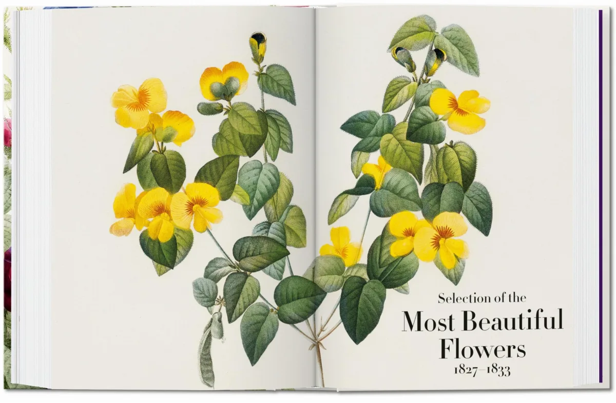 Redouté. The Book of Flowers. 45th Ed.