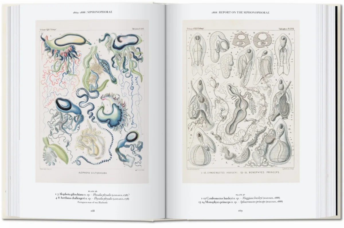 The Art and Science of Ernst Haeckel. 45th Ed.