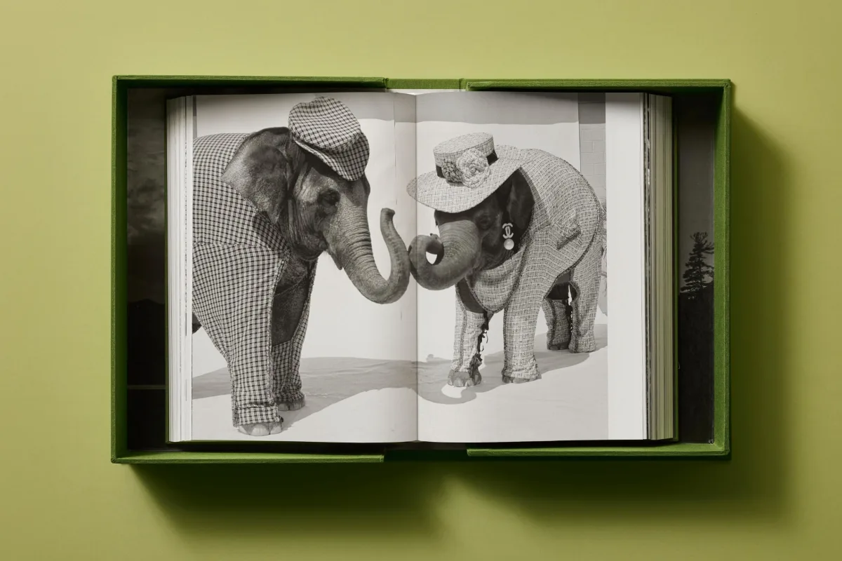 Bruce Weber. My Education. Art Edition No. 1–100, ‘Jeff Aquilon, Kona, Hawaii’, 1982