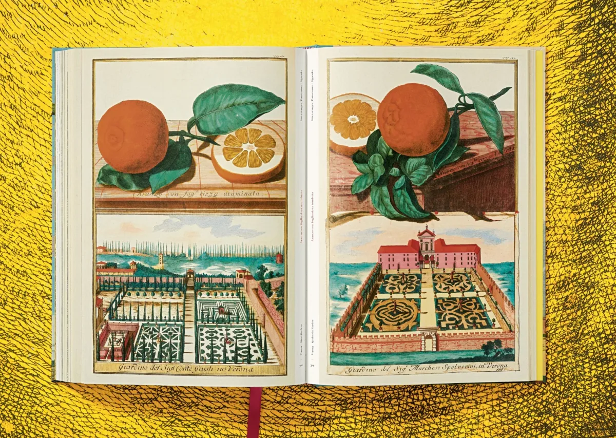 J. C. Volkamer. The Book of Citrus Fruits