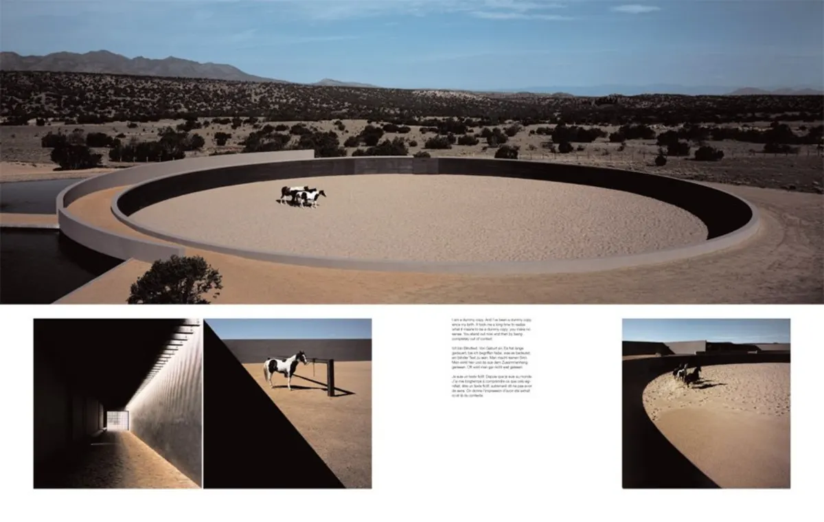 Tadao Ando, Art Edition