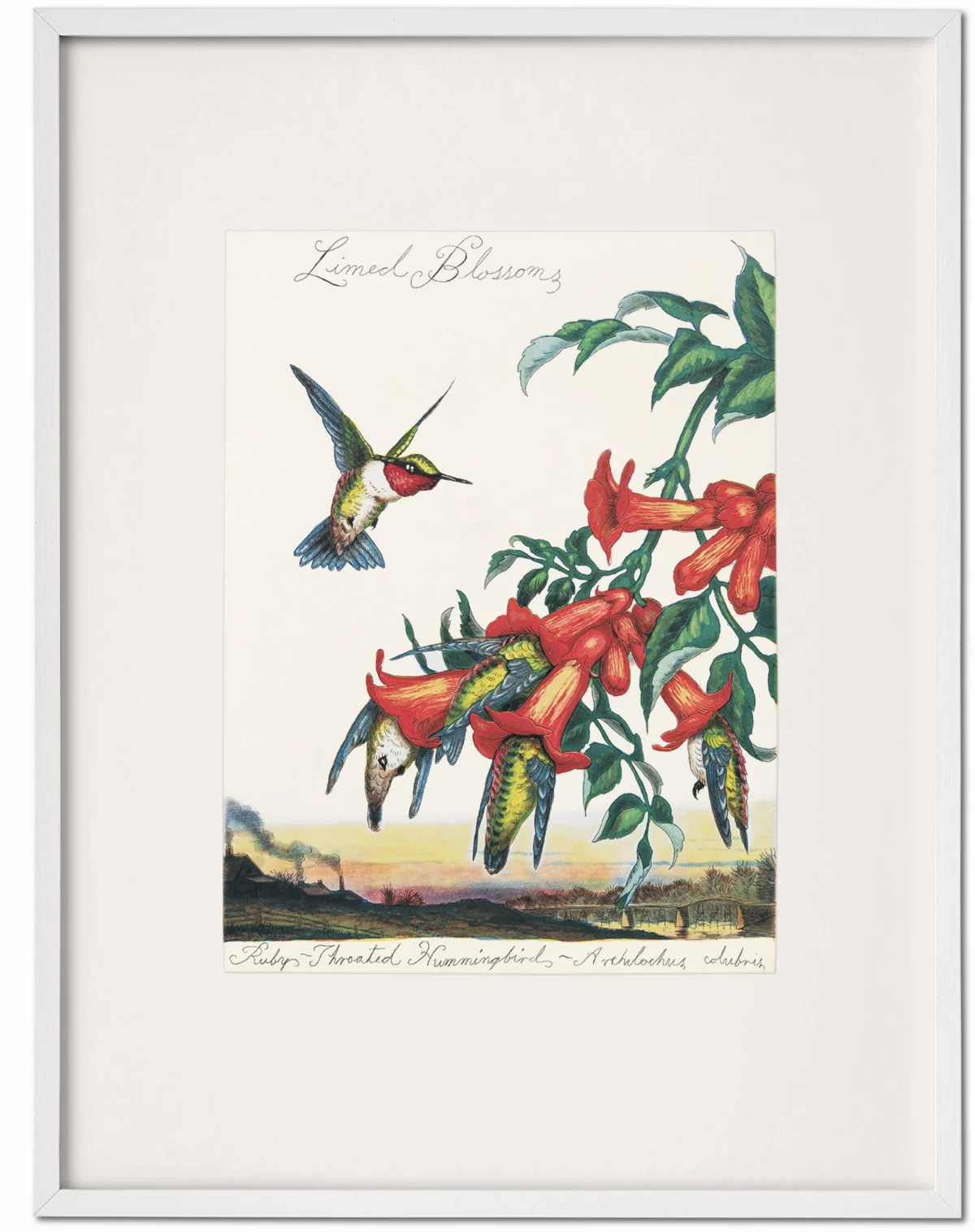 Walton Ford. Pancha Tantra. Art Edition