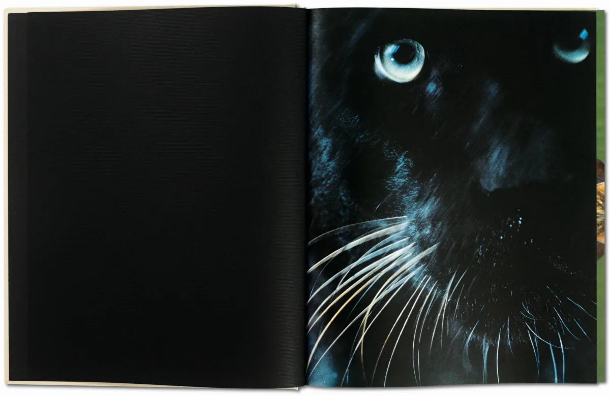 Frans Lanting. Eye to Eye