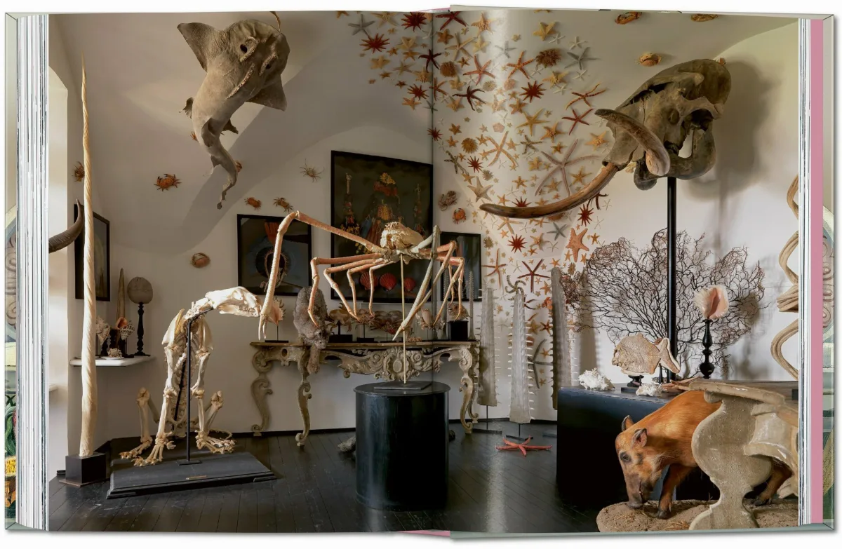 Massimo Listri. Cabinet of Curiosities. 40th Ed.