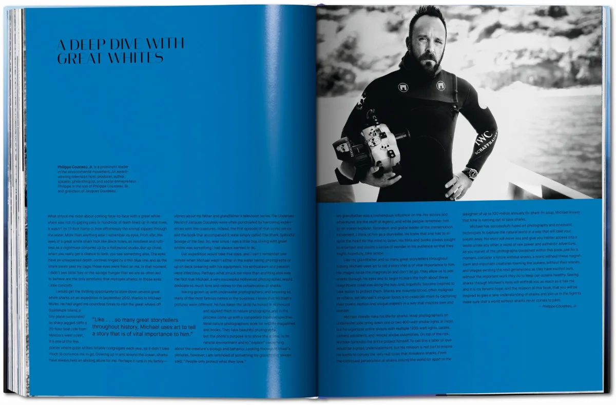 Michael Muller. Sharks