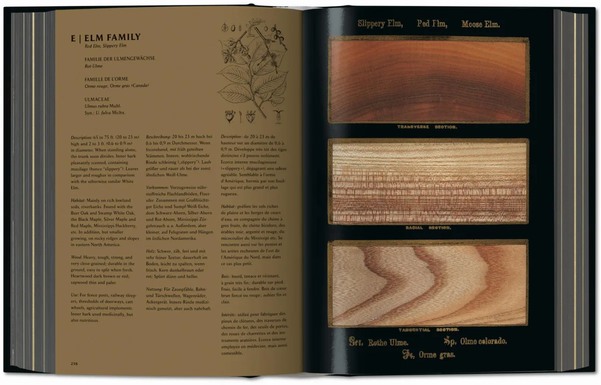 Romeyn B. Hough. The Woodbook. The Complete Plates