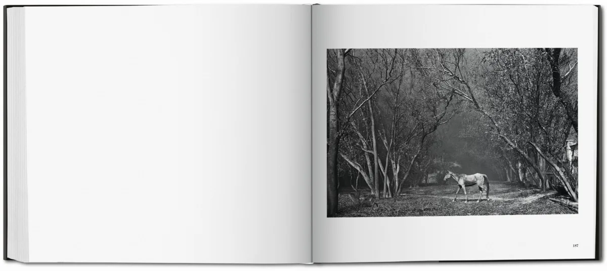 Sebastião Salgado. Kuwait. A Desert on Fire