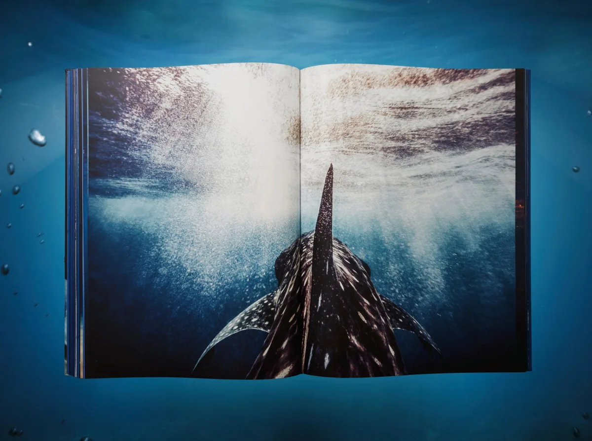 Michael Muller. Sharks, Art Edition No. 1–100 ‘Tear You Apart’