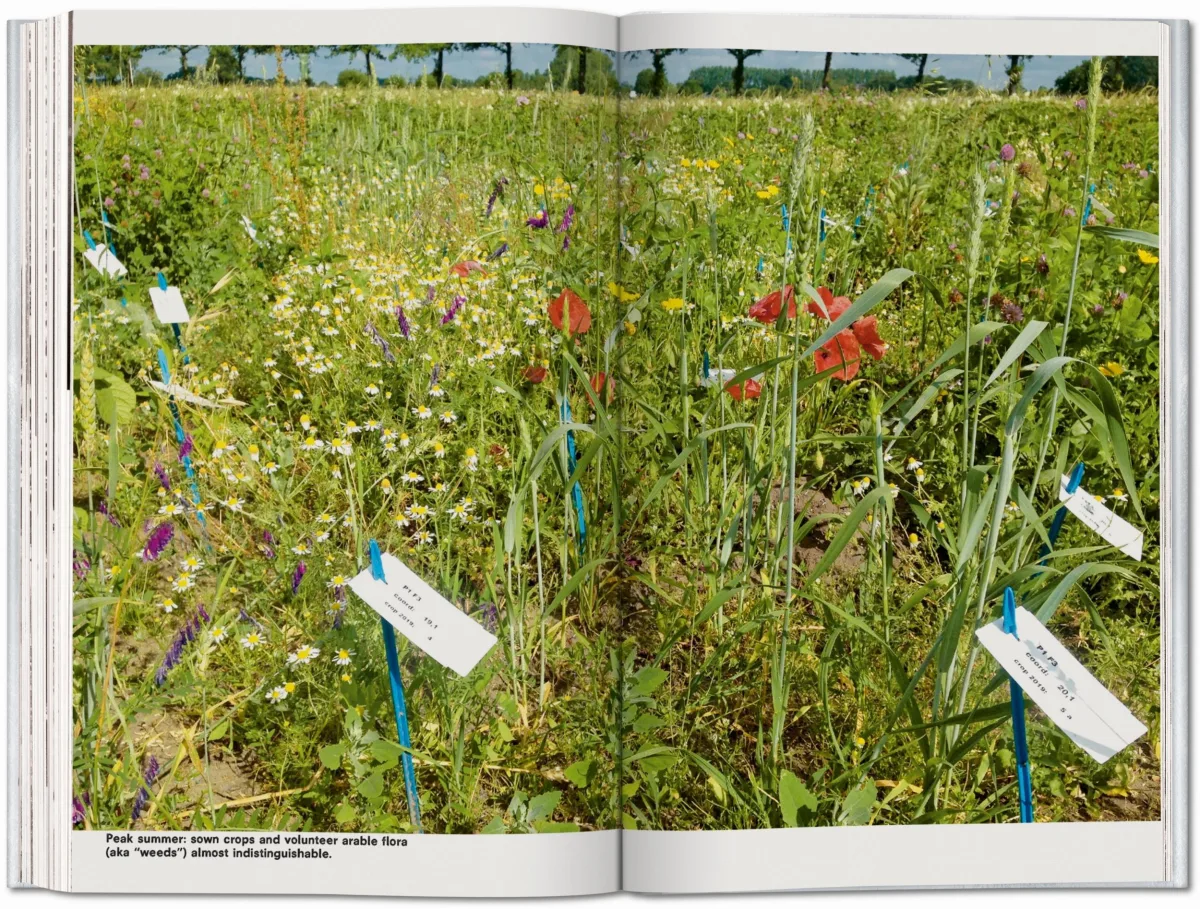 Koolhaas. Countryside, A Report