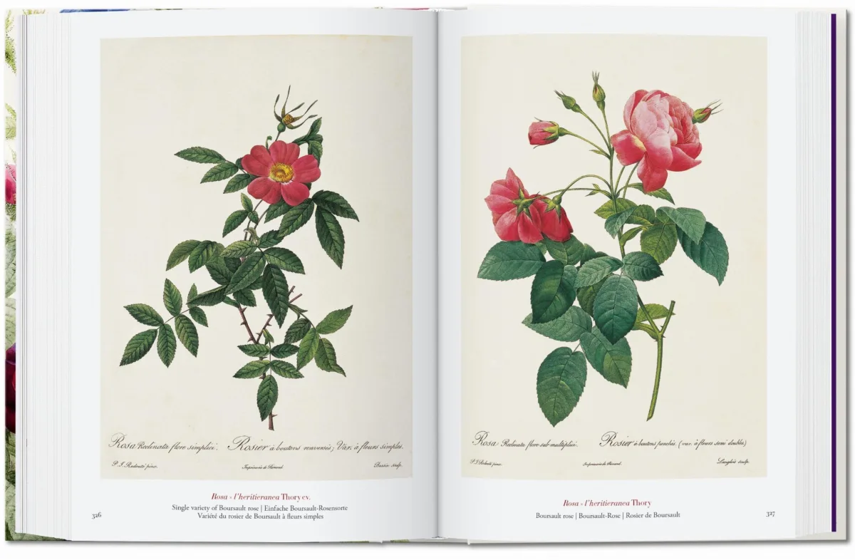 Redouté. The Book of Flowers. 45th Ed.