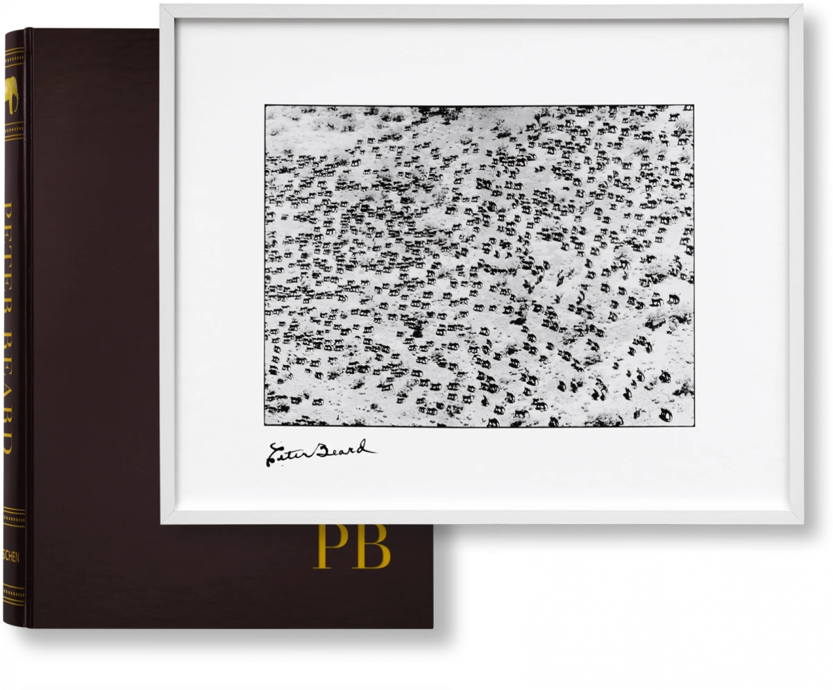 Peter Beard, Art Edition No. 126–250 ‘965 Elephants’