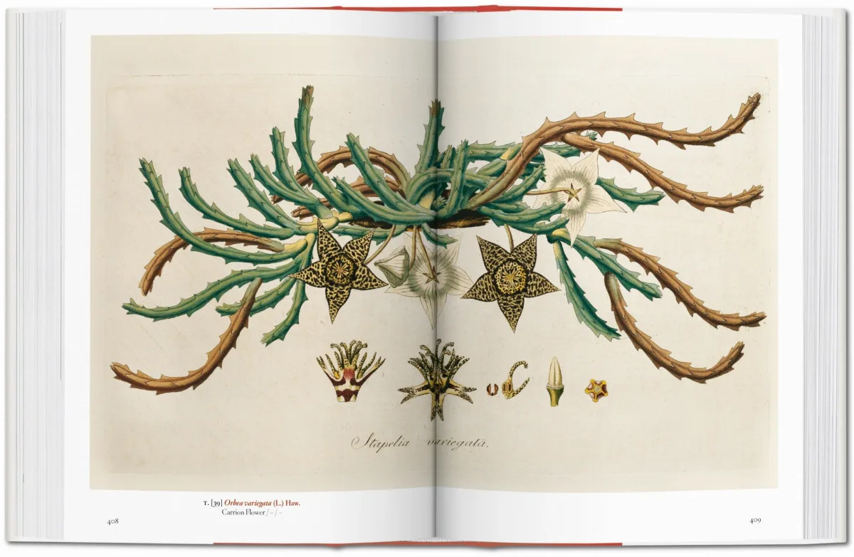 A Garden Eden. Masterpieces of Botanical Illustration. 45th Ed.