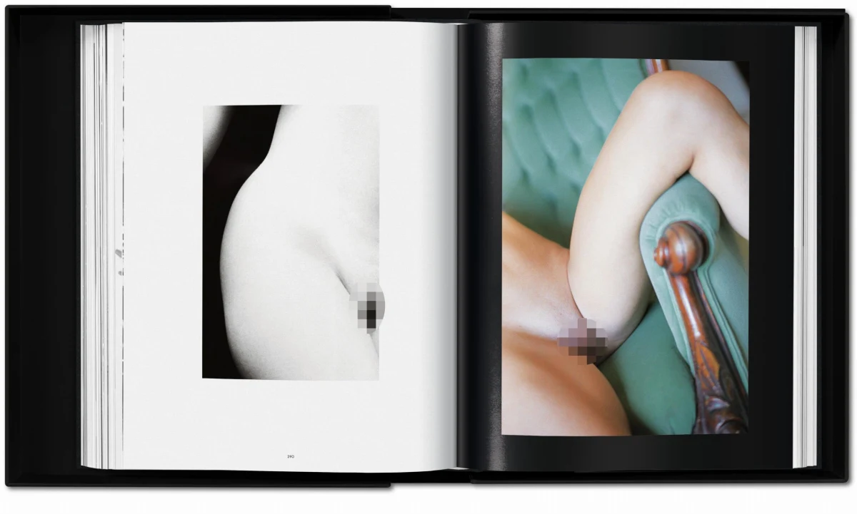 Ralph Gibson. Nude, Art Edition No. 101–200 ‘Blinds’