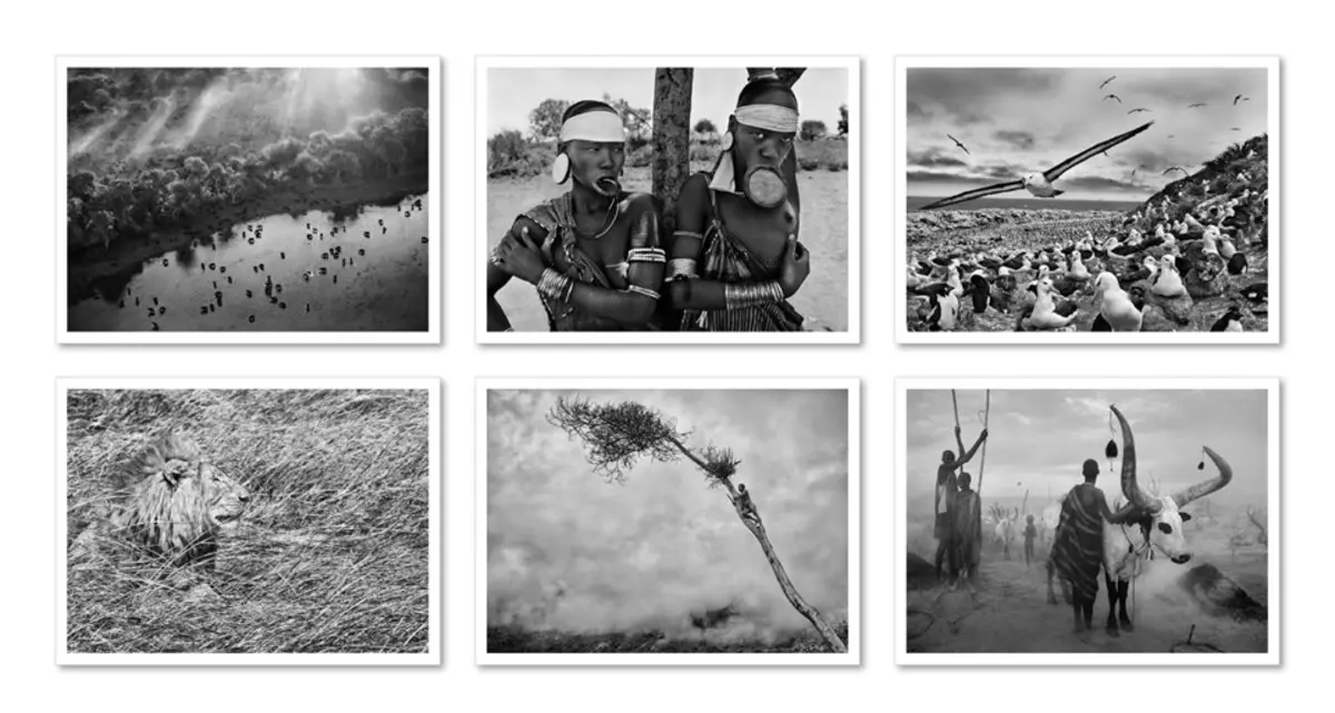 Sebastião Salgado. Genesis. Postcard Set