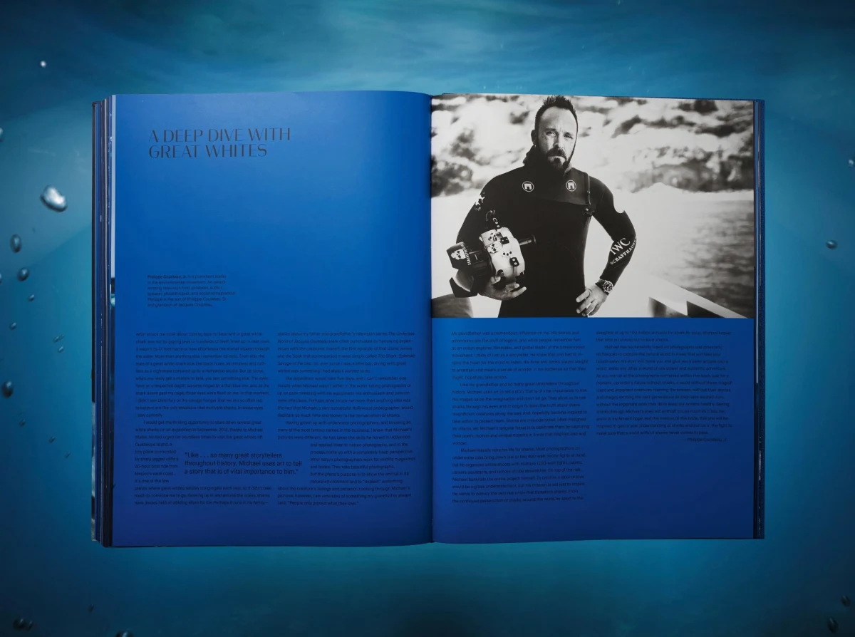 Michael Muller. Sharks, Art Edition No. 1–100 ‘Tear You Apart’