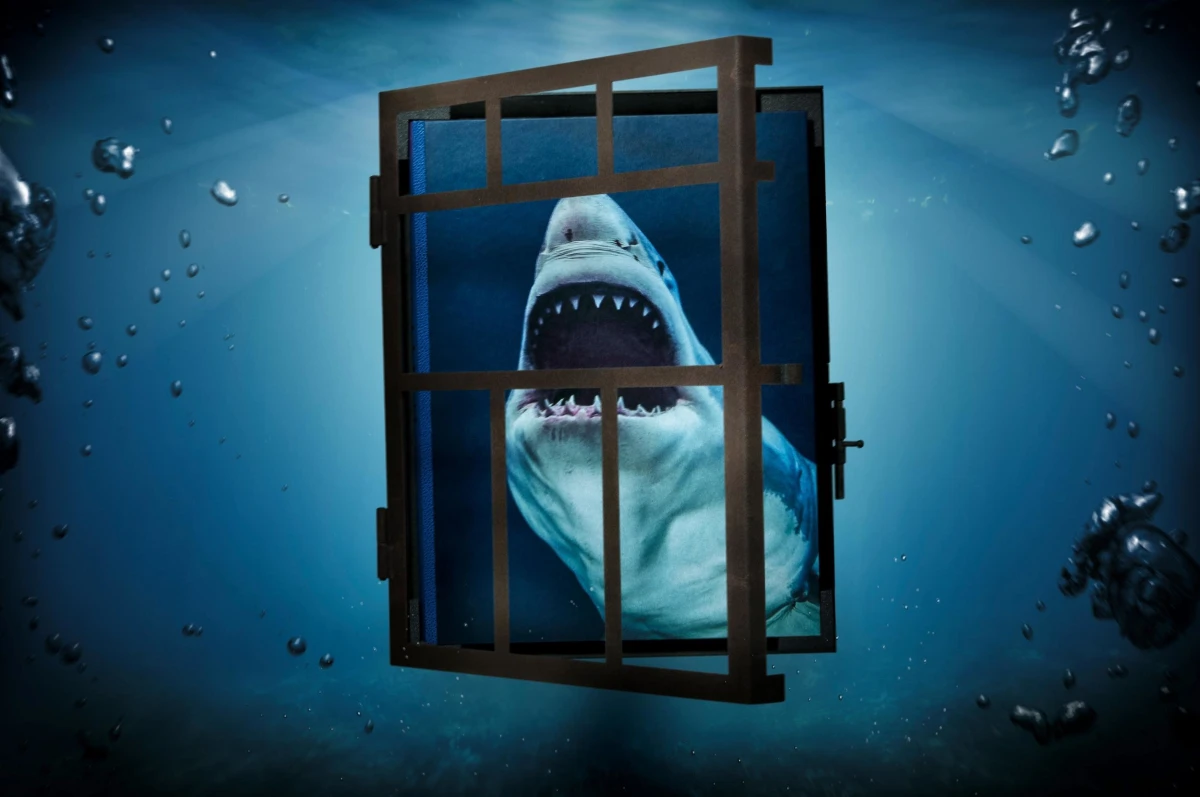 Michael Muller. Sharks, Art Edition No. 1–100 ‘Tear You Apart’