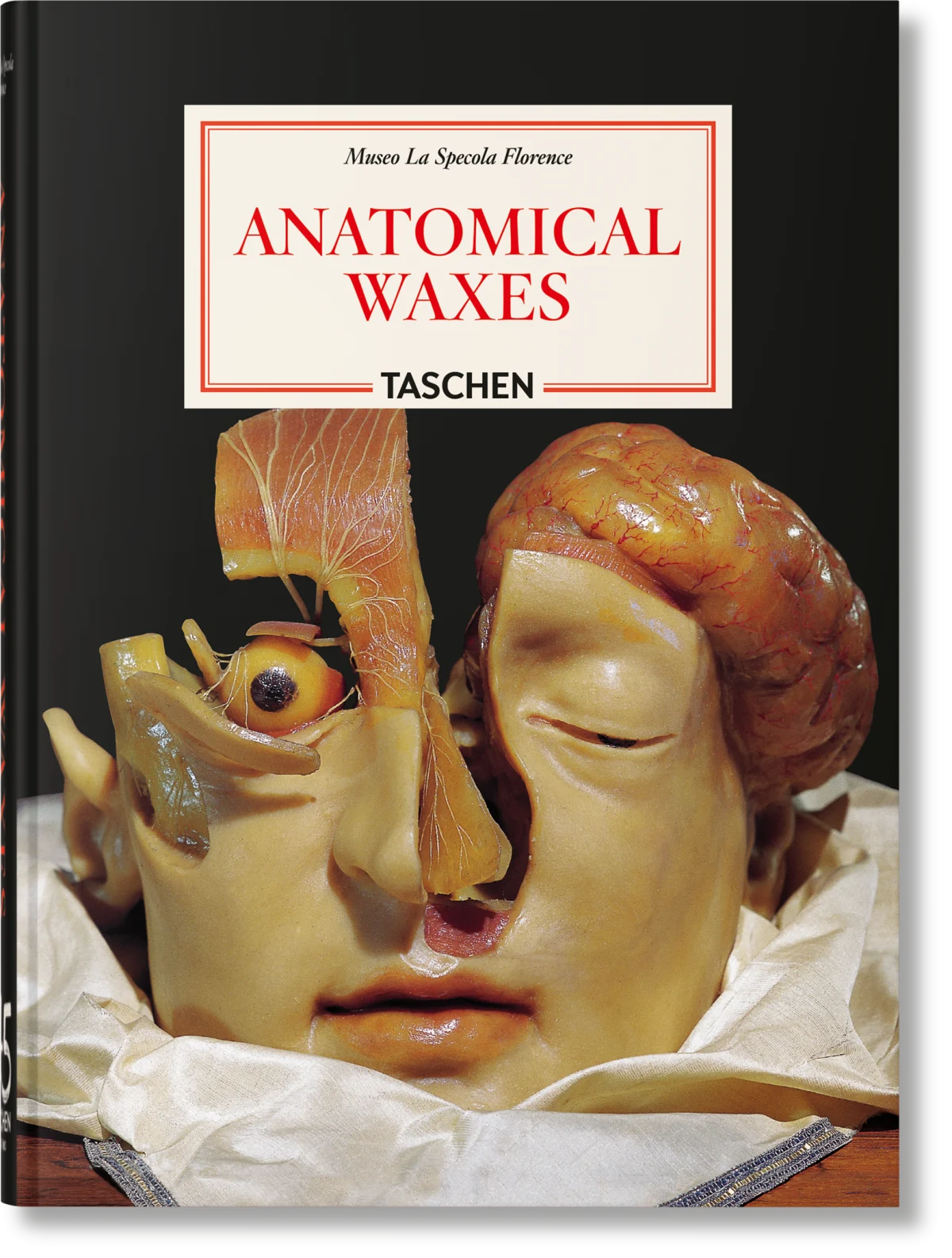 Anatomical Waxes. 45th Ed.