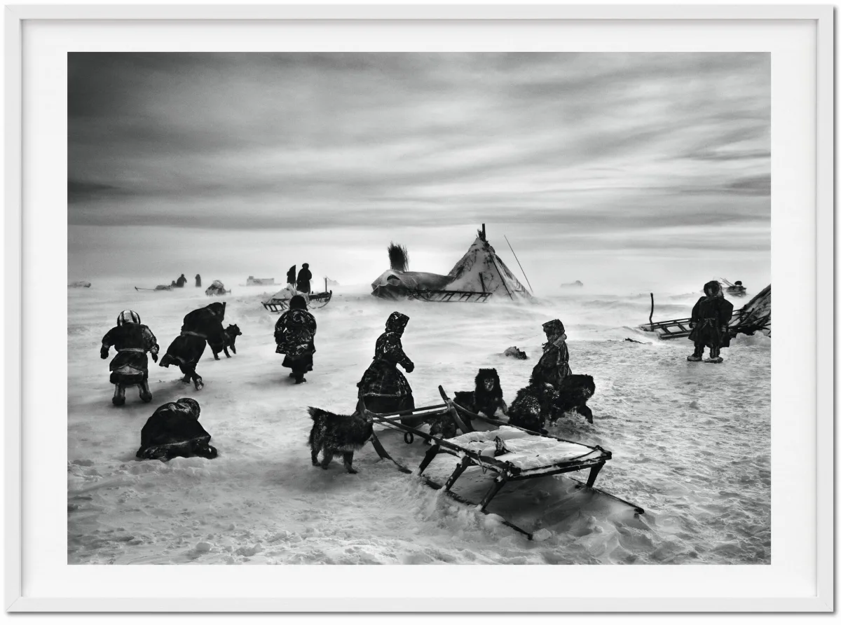 Sebastião Salgado. Genesis. Art Edition No. 101–200 ‘North of the Ob River, Yamal Peninsula, Siberia, Russia’