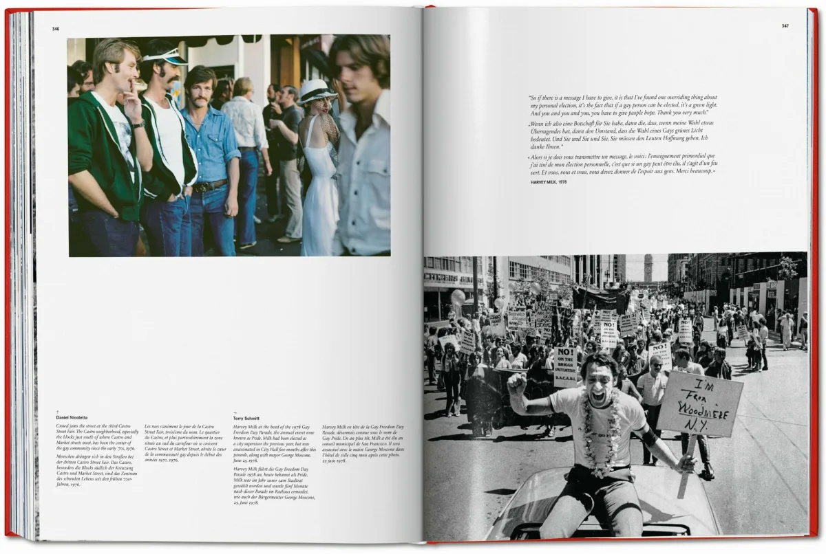 San Francisco. Portrait of a City, Art Edition No. 76–150 'Seagull over Golden Gate Bridge, early 1950s'