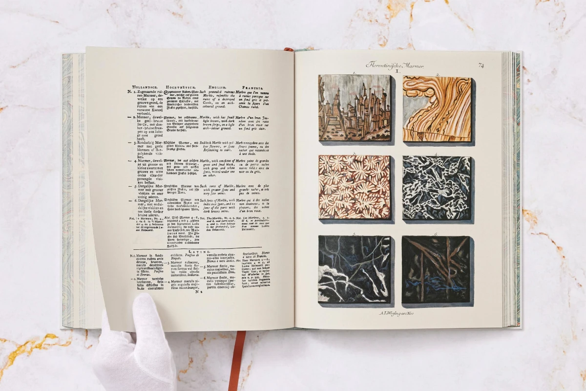 Jan Christiaan Sepp. The Book of Marble