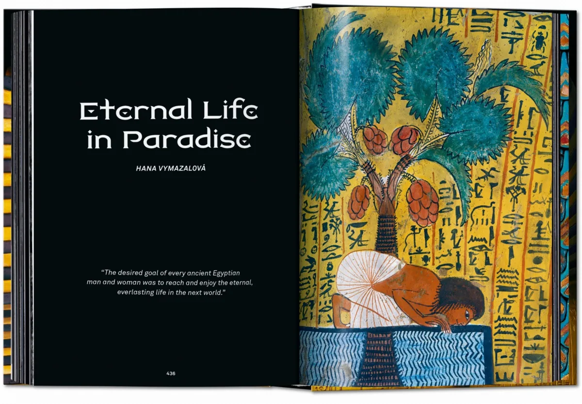 King Tut. The Journey through the Underworld. 40th Ed.