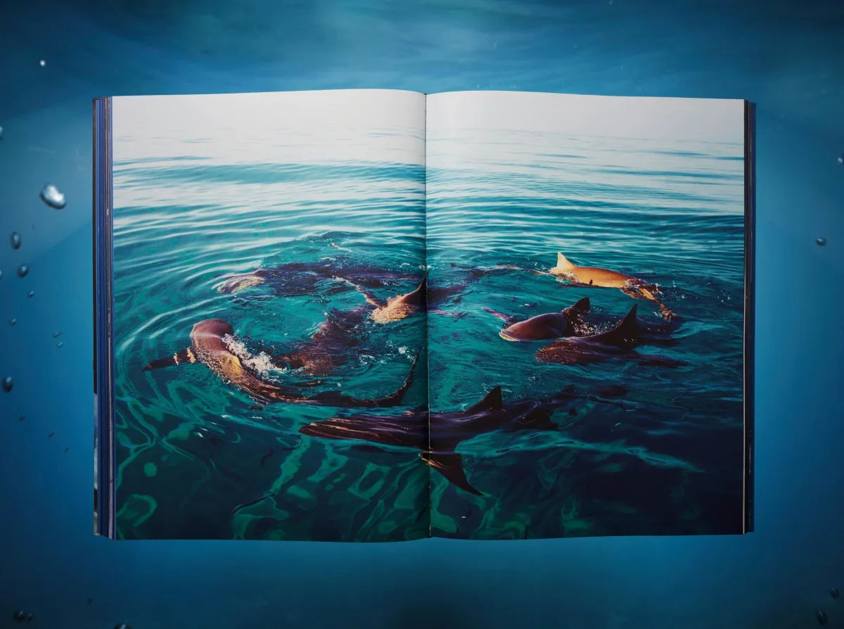 Michael Muller. Sharks, Art Edition No. 1–100 ‘Tear You Apart’