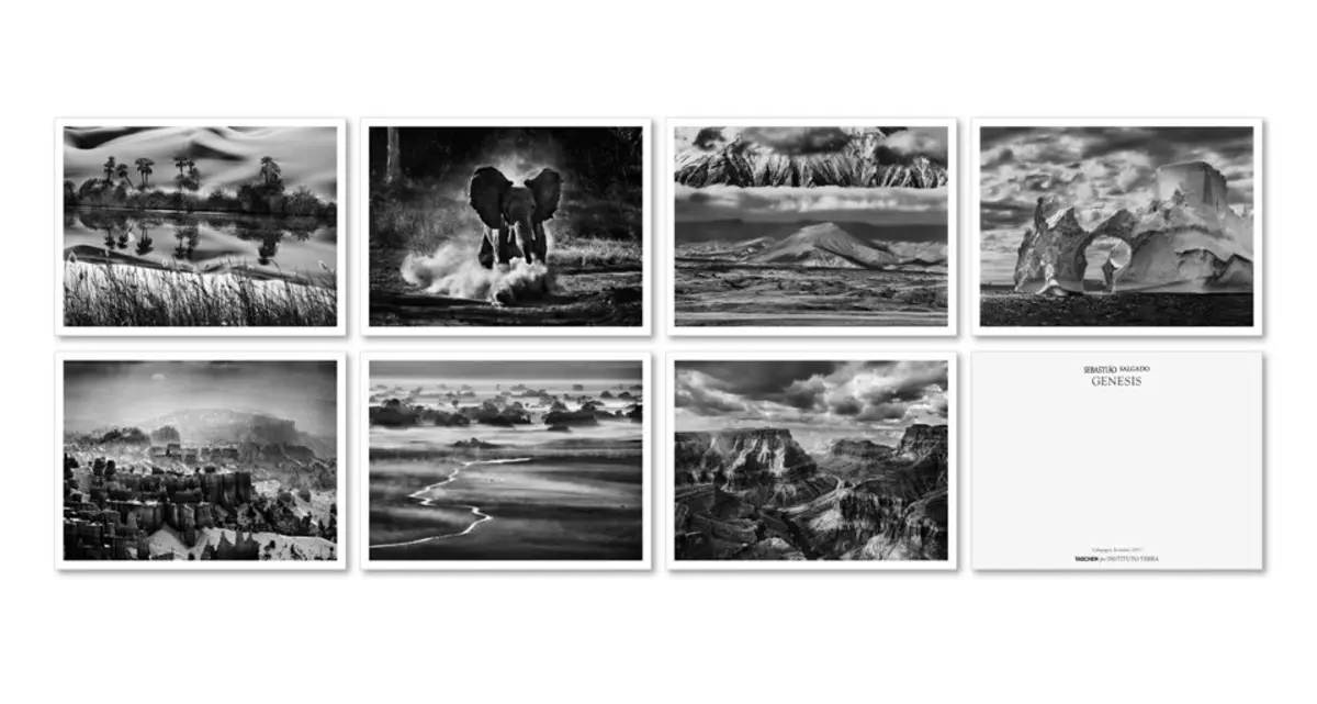 Sebastião Salgado. Genesis. Postcard Set