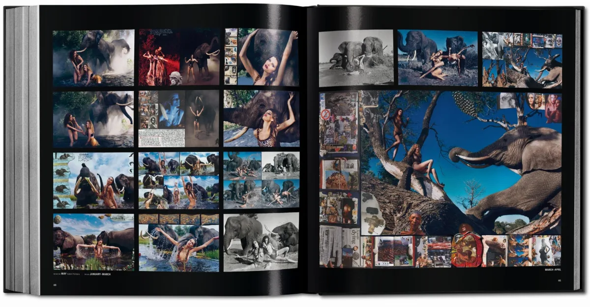 Pirelli. The Calendar. 50 Years and More