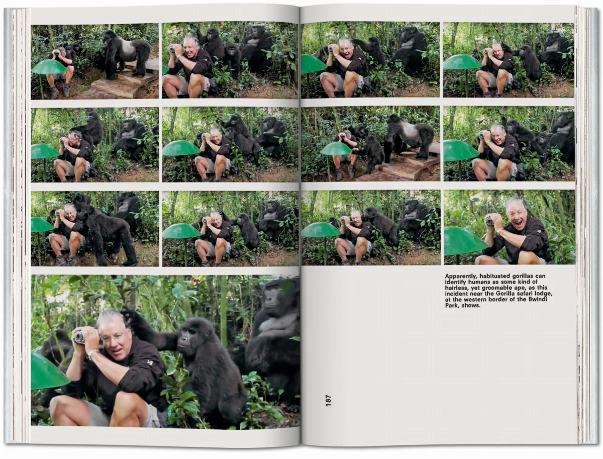 Koolhaas. Countryside, A Report