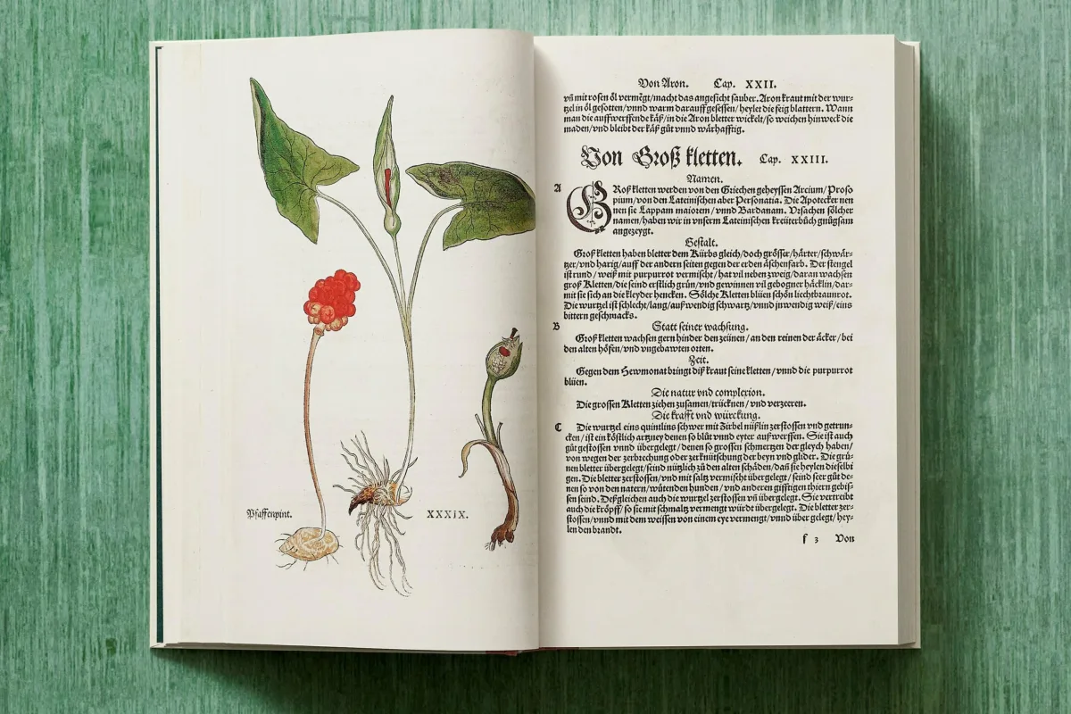 Leonhart Fuchs. The New Herbal