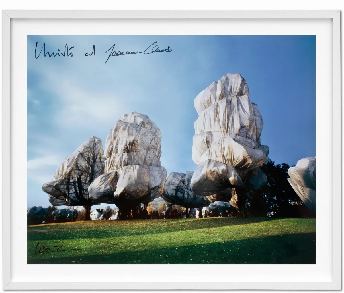 Christo and Jeanne-Claude. Wrapped Trees. Basel 1997–1998