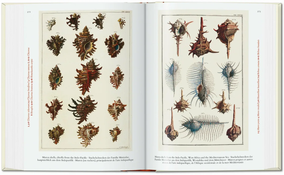 Seba. Cabinet of Natural Curiosities. 40th Ed.