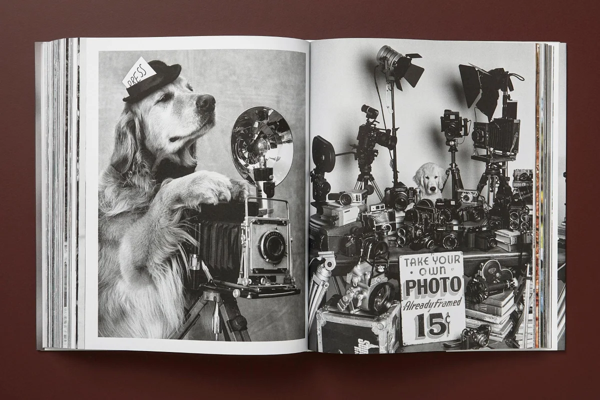 Bruce Weber. The Golden Retriever Photographic Society