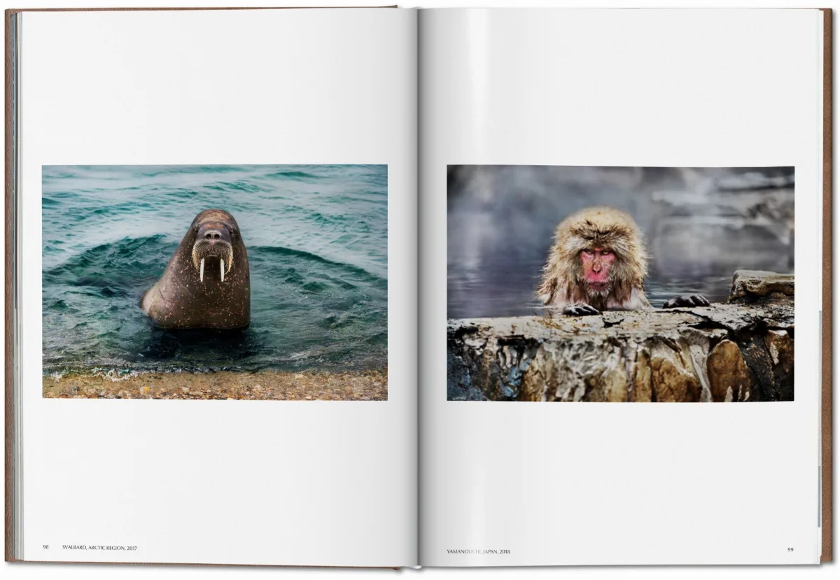 Steve McCurry. Animals. Art Edition No. 1–100 ‘Chiang Mai, Thailand, 2010’