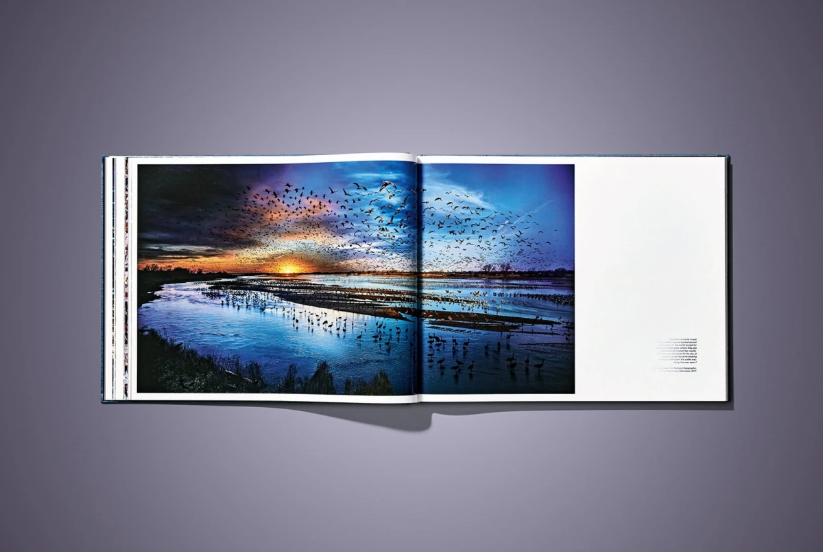 Stephen Wilkes. Day to Night. Art Edition No. 101–200 ‘Grand Canyon, Arizona, 2015’