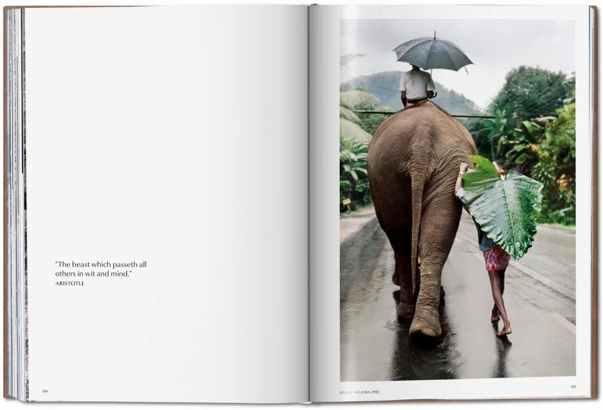Steve McCurry. Animals. Art Edition No. 1–100 ‘Chiang Mai, Thailand, 2010’