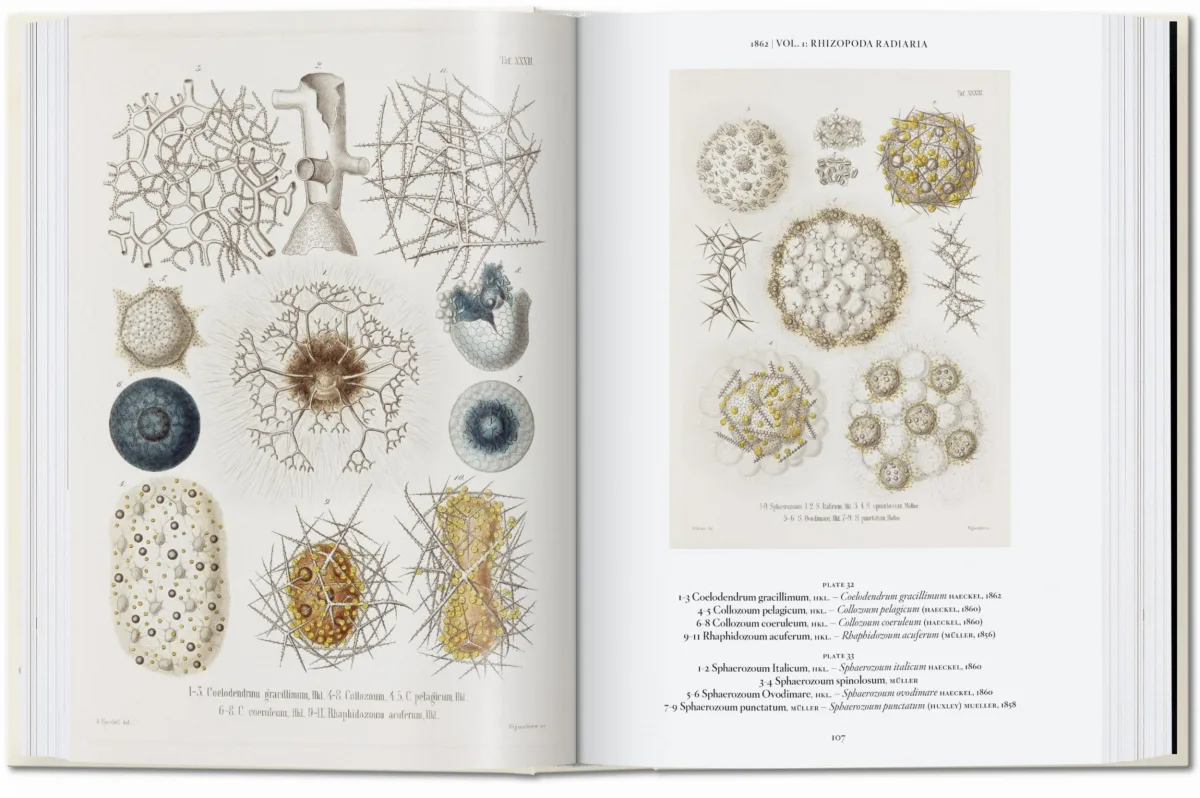 The Art and Science of Ernst Haeckel. 45th Ed.
