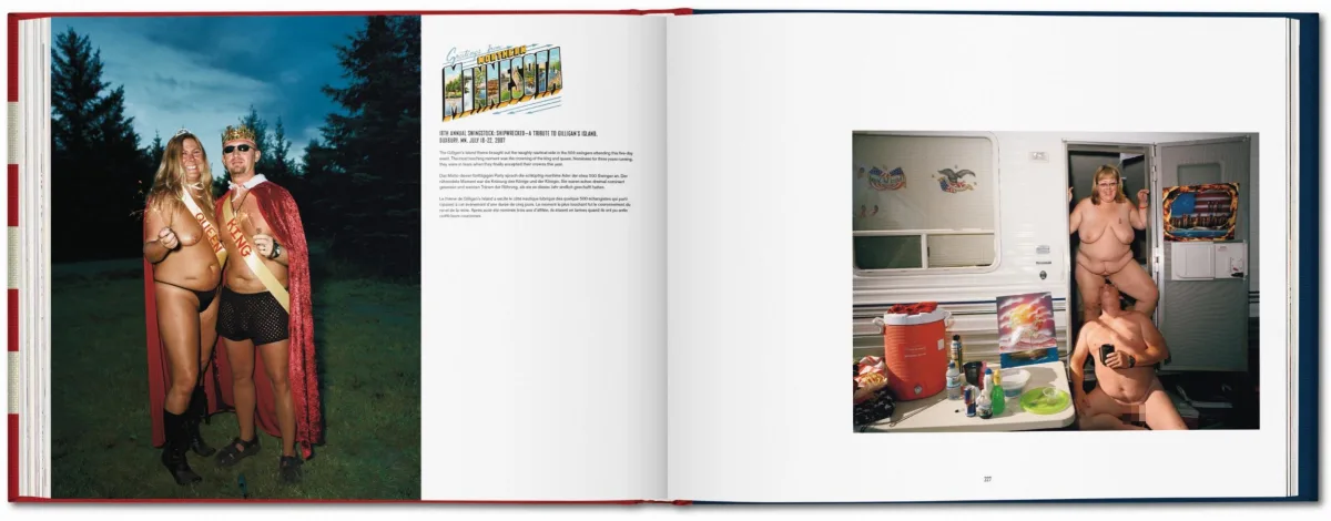 Naomi Harris. America Swings, Art Edition No. 51–100 ‘Barbecue’