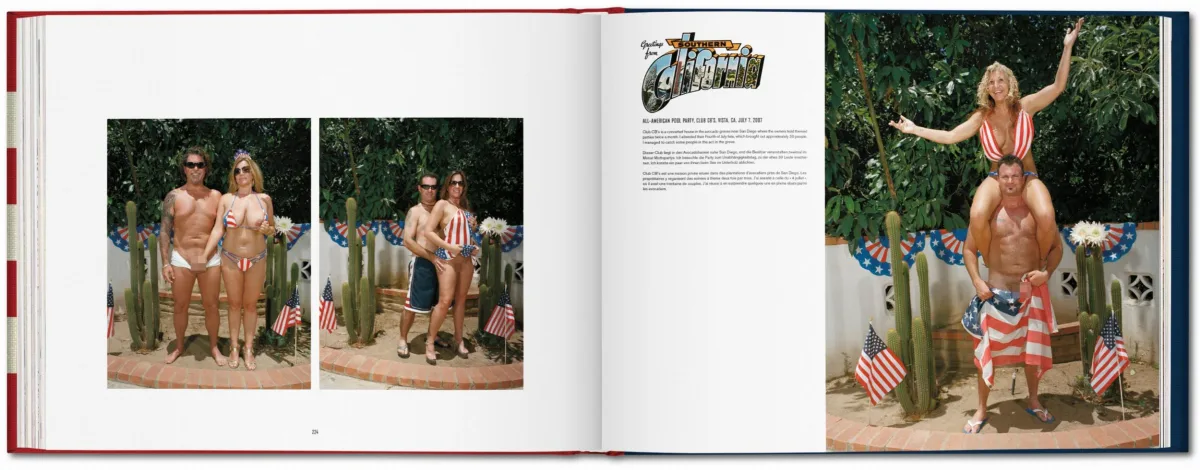 Naomi Harris. America Swings, Art Edition No. 51–100 ‘Barbecue’