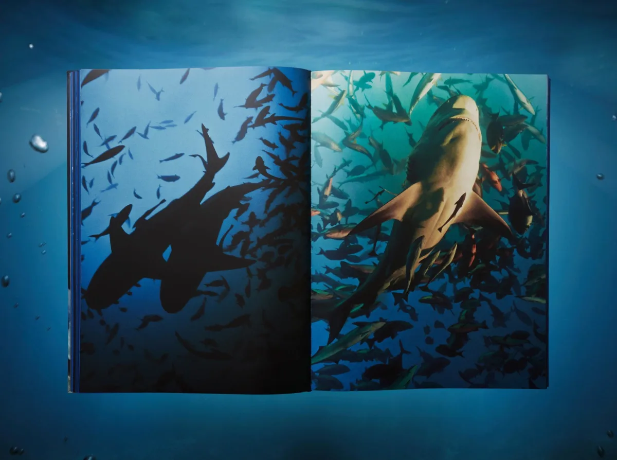 Michael Muller. Sharks, Art Edition No. 1–100 ‘Tear You Apart’