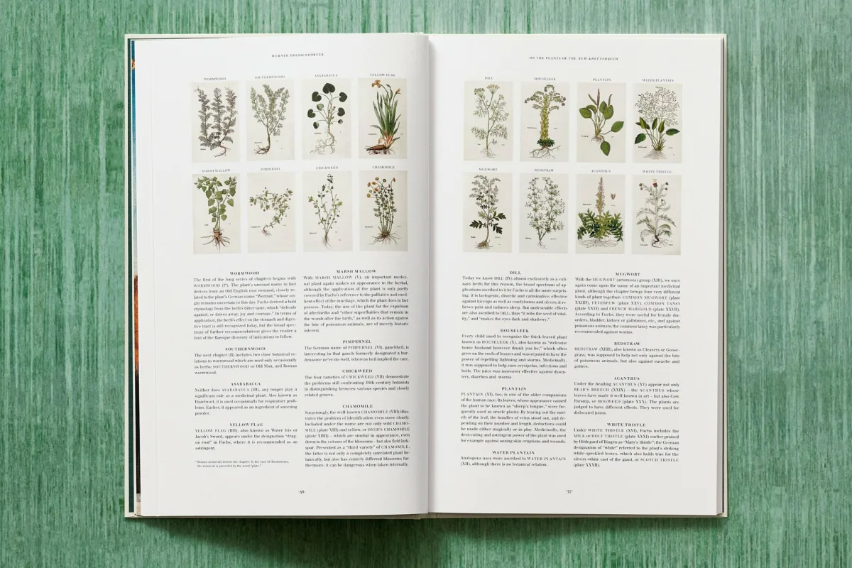 Leonhart Fuchs. The New Herbal