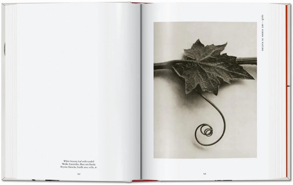 Karl Blossfeldt. The Complete Published Work. 45th Ed.